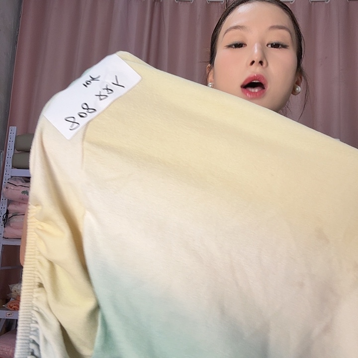 聚酯纤维万能沙发套808 双人 一个