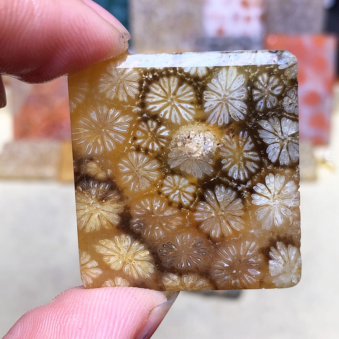 硅化玉珠宝奇石合金丽*