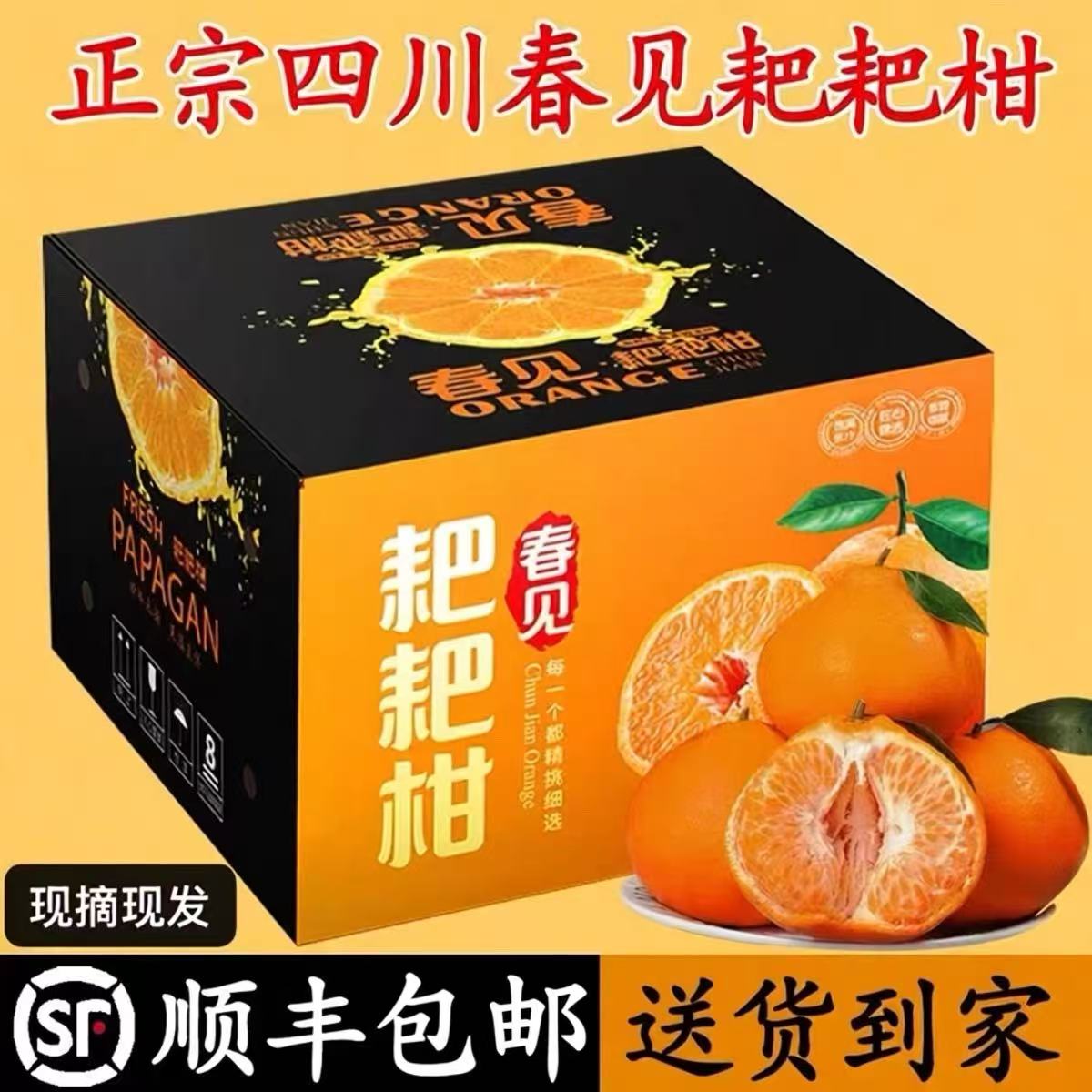 现摘现发正宗四川春见耙耙柑粑粑柑皮薄多汁优质新鲜水果净重10斤
