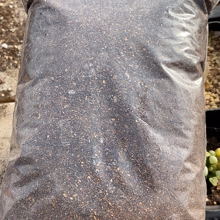 肉锥专用土1份。    