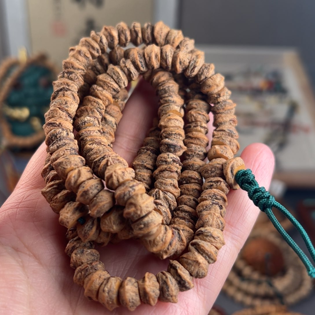 柏香籽/百香籽吊坠鳄**豆