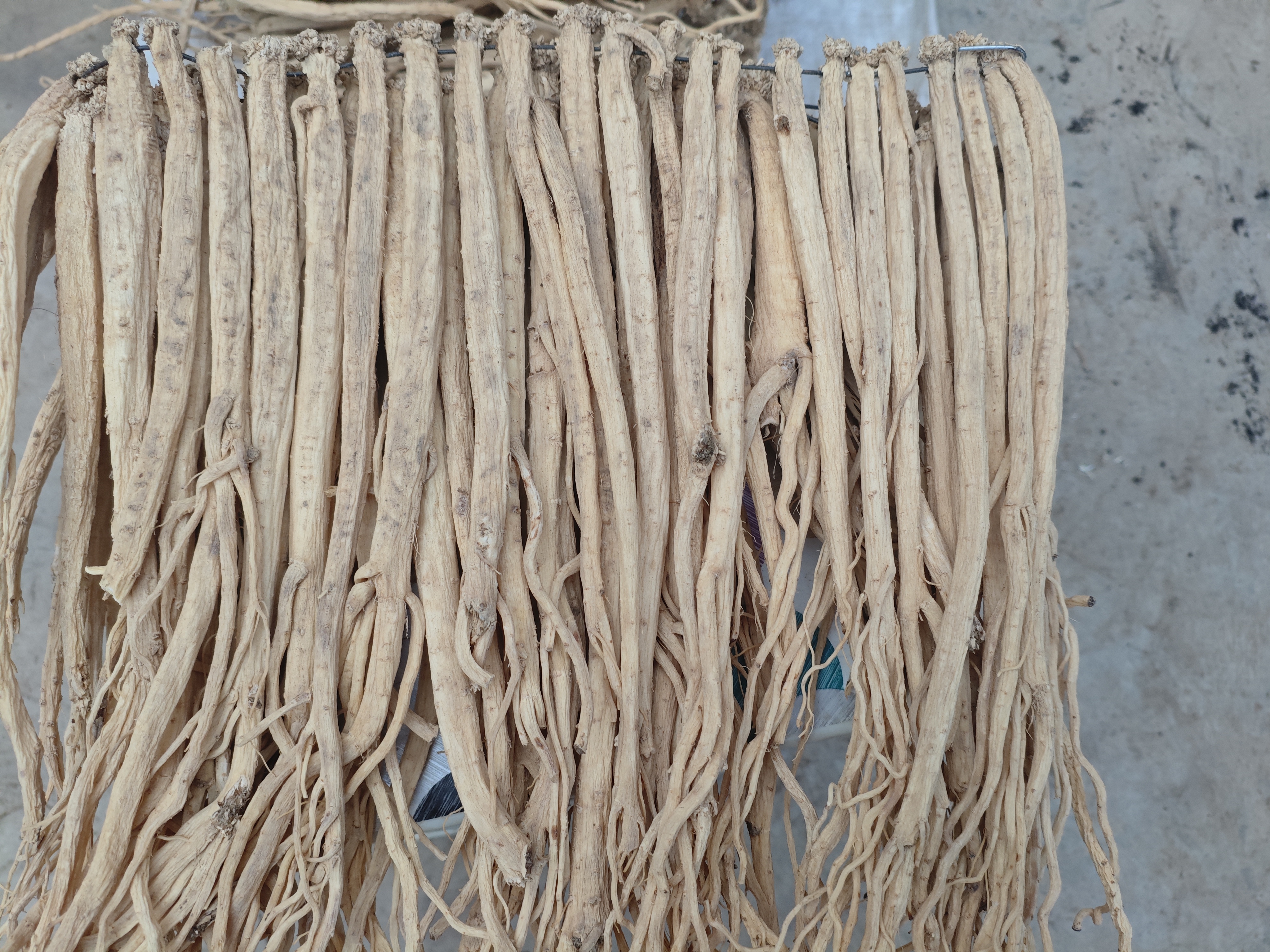 甘肃产地直发无硫党参干货中条滋补养生可泡水炖汤