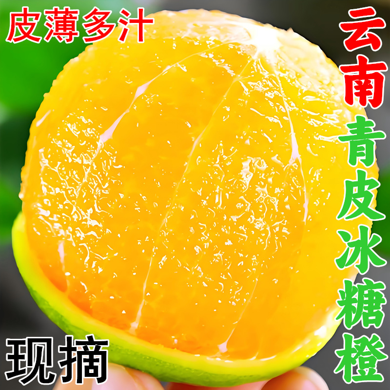 正宗云南青皮冰糖橙哀牢山新鲜应季水果2/5/9斤现摘皮薄多汁清甜