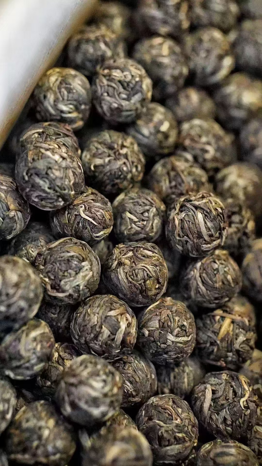 普洱生茶小户赛红土地龙珠云南大叶种晒青毛茶2023年龙珠古树纯料