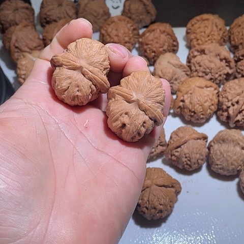 文玩核桃把件元宝水尖