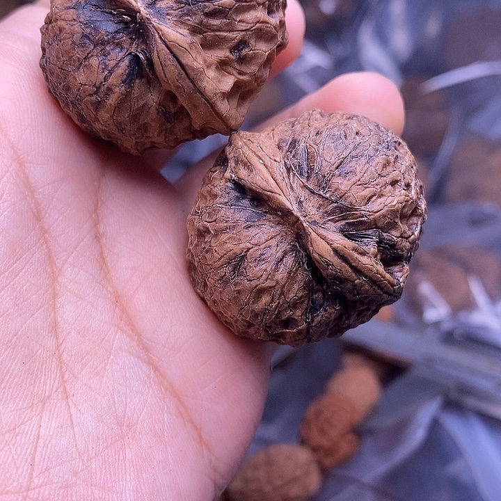 文玩核桃吊坠   39