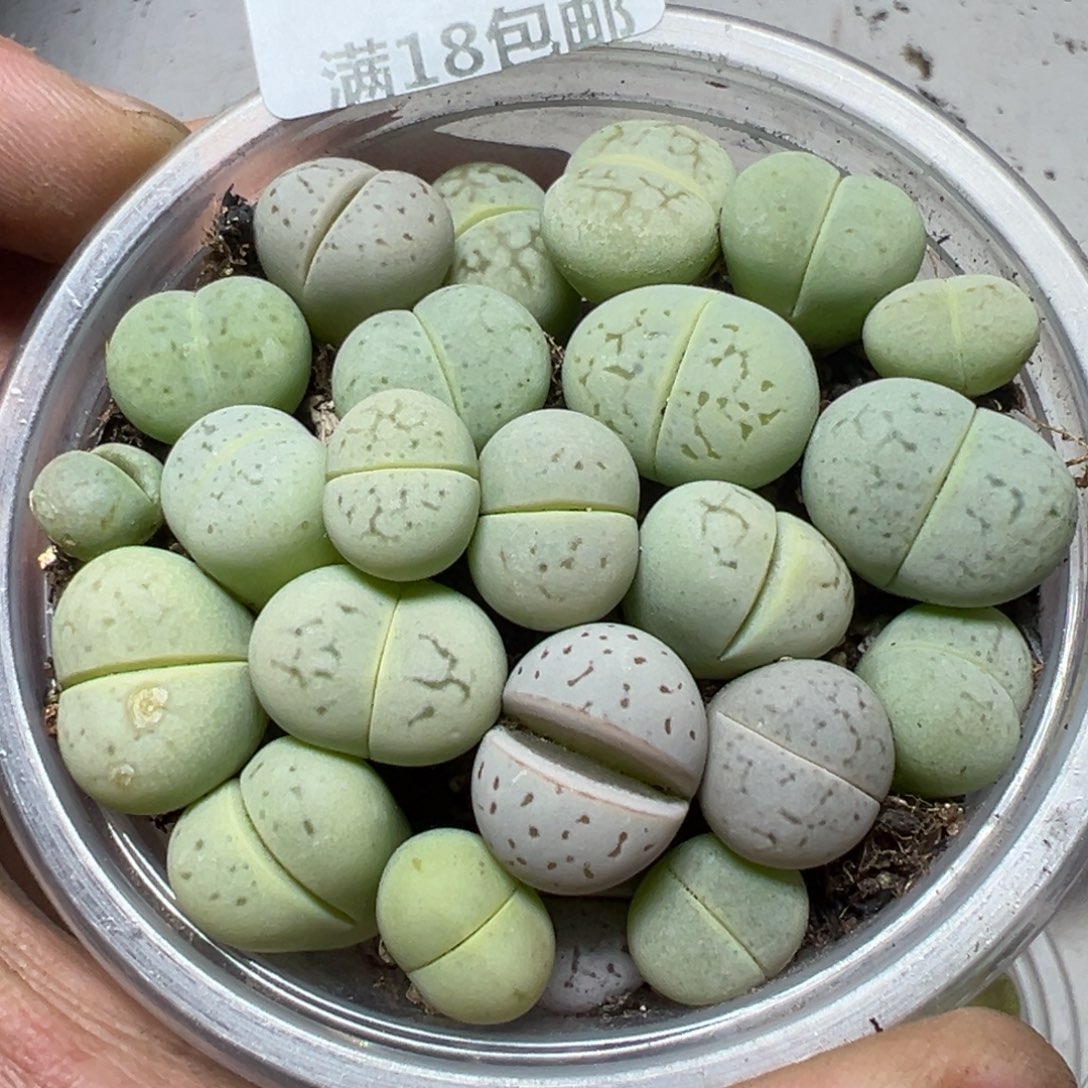 【闪购商品】 152。       