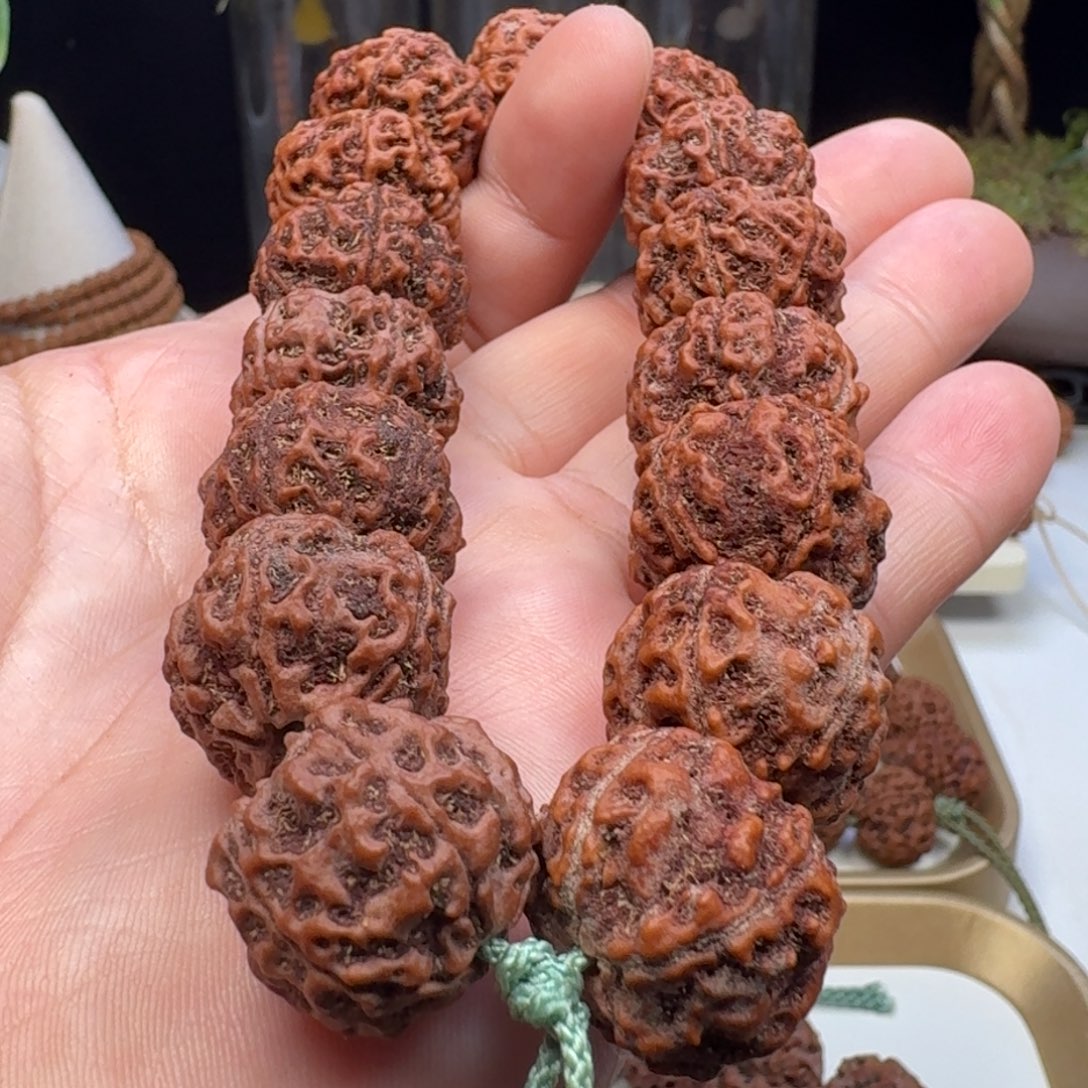金刚菩提手串蜂窝双龙