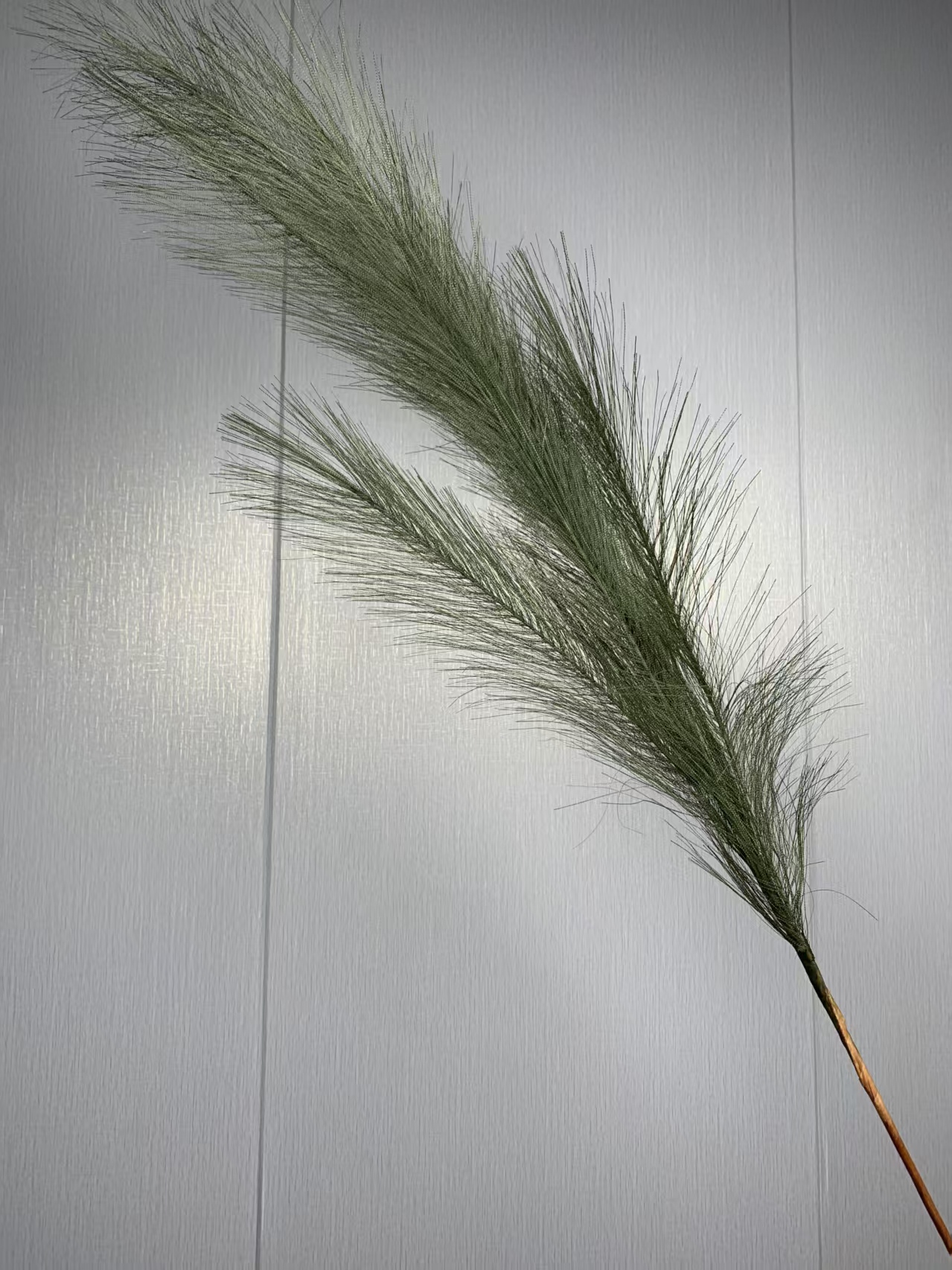 （全场包邮）婚庆仿真花装饰批发7叉羽毛/芦苇毛5支