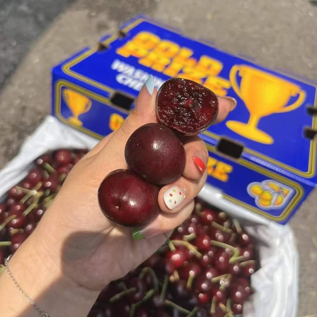 美国金杯车厘子一斤2J雷尼尔科迪亚美国