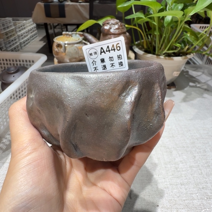 陶盘柴烧新品福利多多