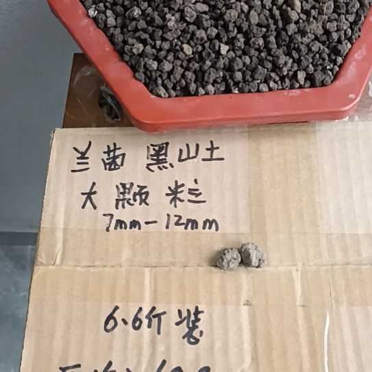 闲***非兰菌黑山土大颗粒6.6斤