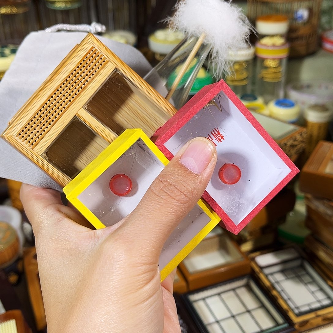 蟋蟀老竹竹蛉盒+过虫器+两只竹蛉+布套