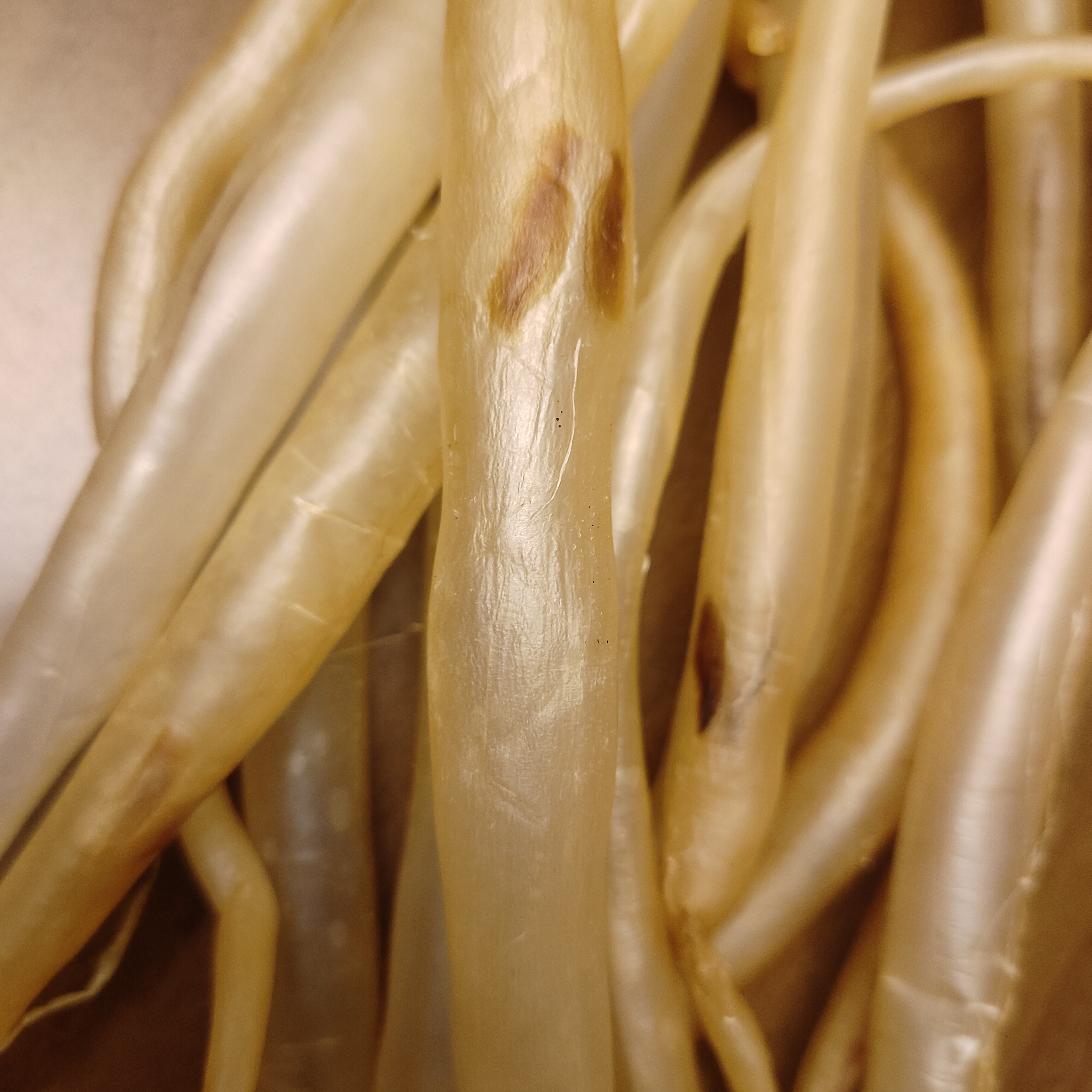 300多头本港自晒野生鳗鱼胶纯天然无腥味月子滋补佳品