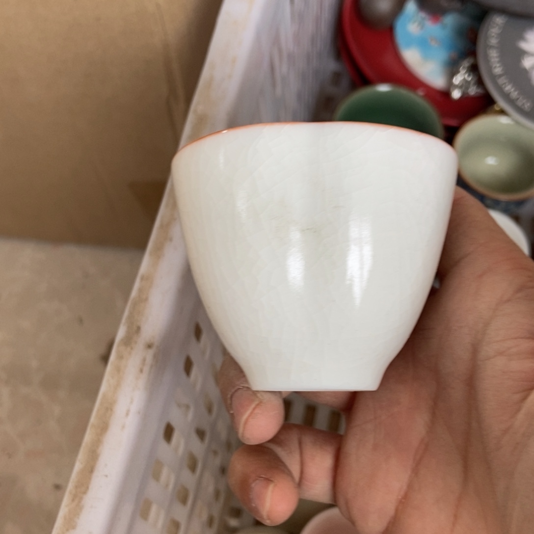 杯直播链接直播链接