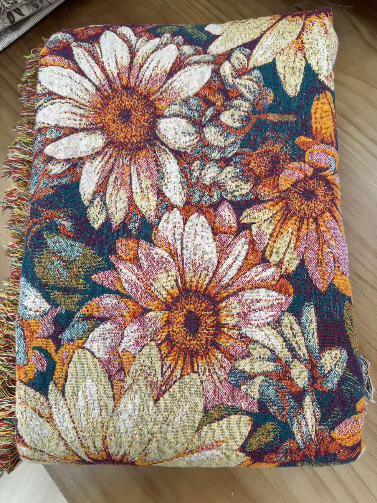 外贸原订单多功能流苏艺术毯沙发巾床盖午休毯 油画