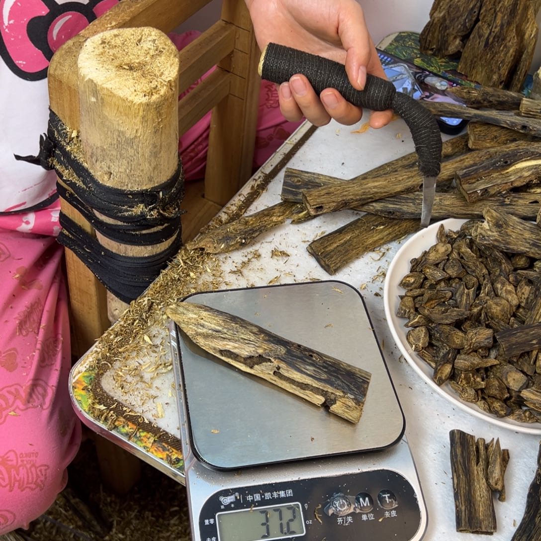 线香奇楠虫漏香37克