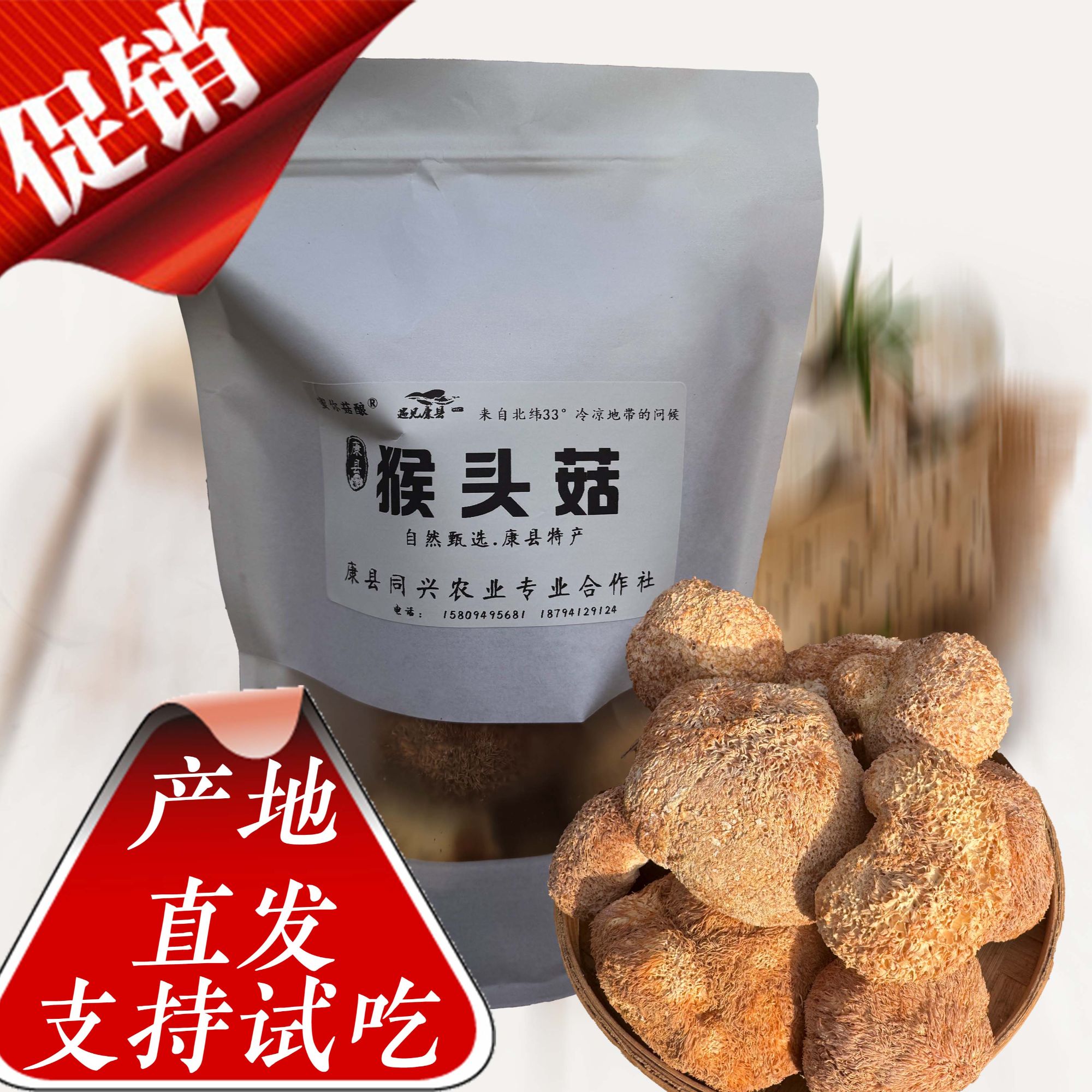 甘肃康县猴头菇无硫干货人工去根新鲜食用菌煲汤打猴头菇粉养胃