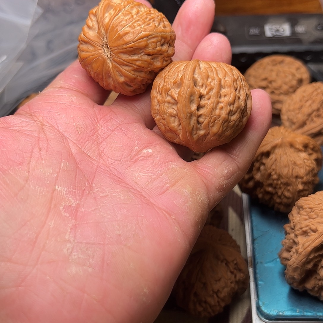 F****文玩核桃铁锤妹妹