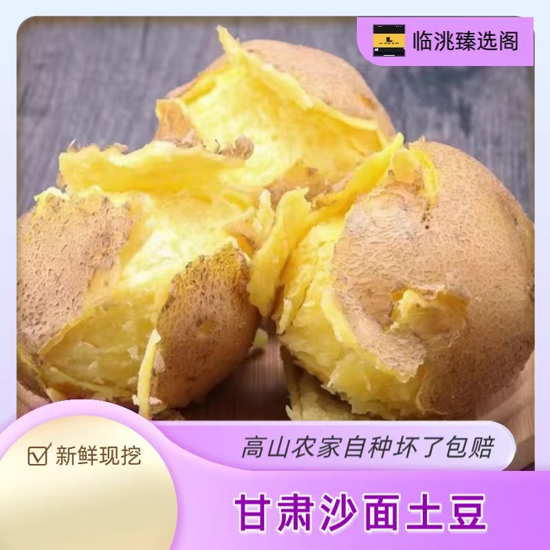 试吃装  2025黄心沙面土豆甘肃定西原产地现挖现发 