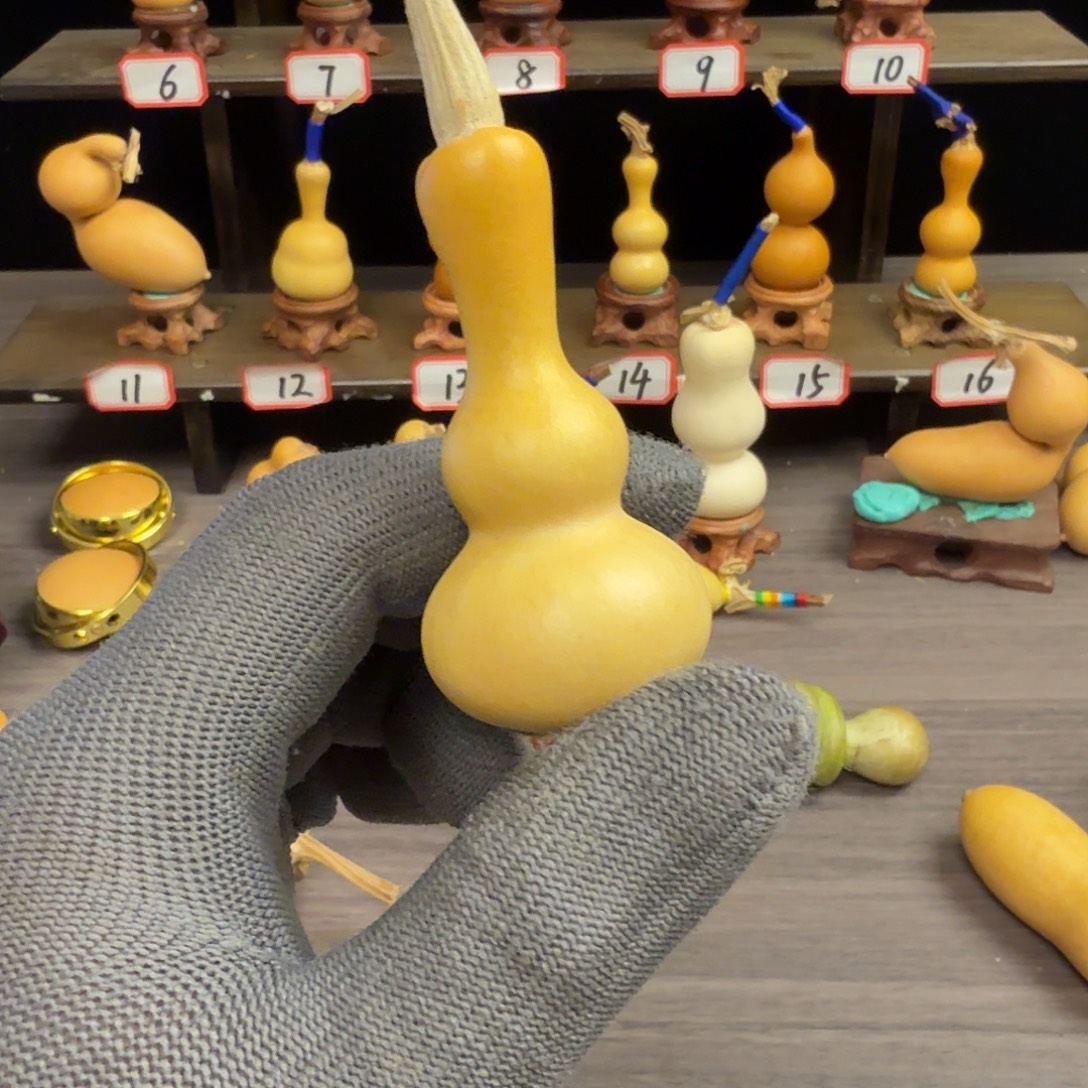 山***风木这个时候应该可以