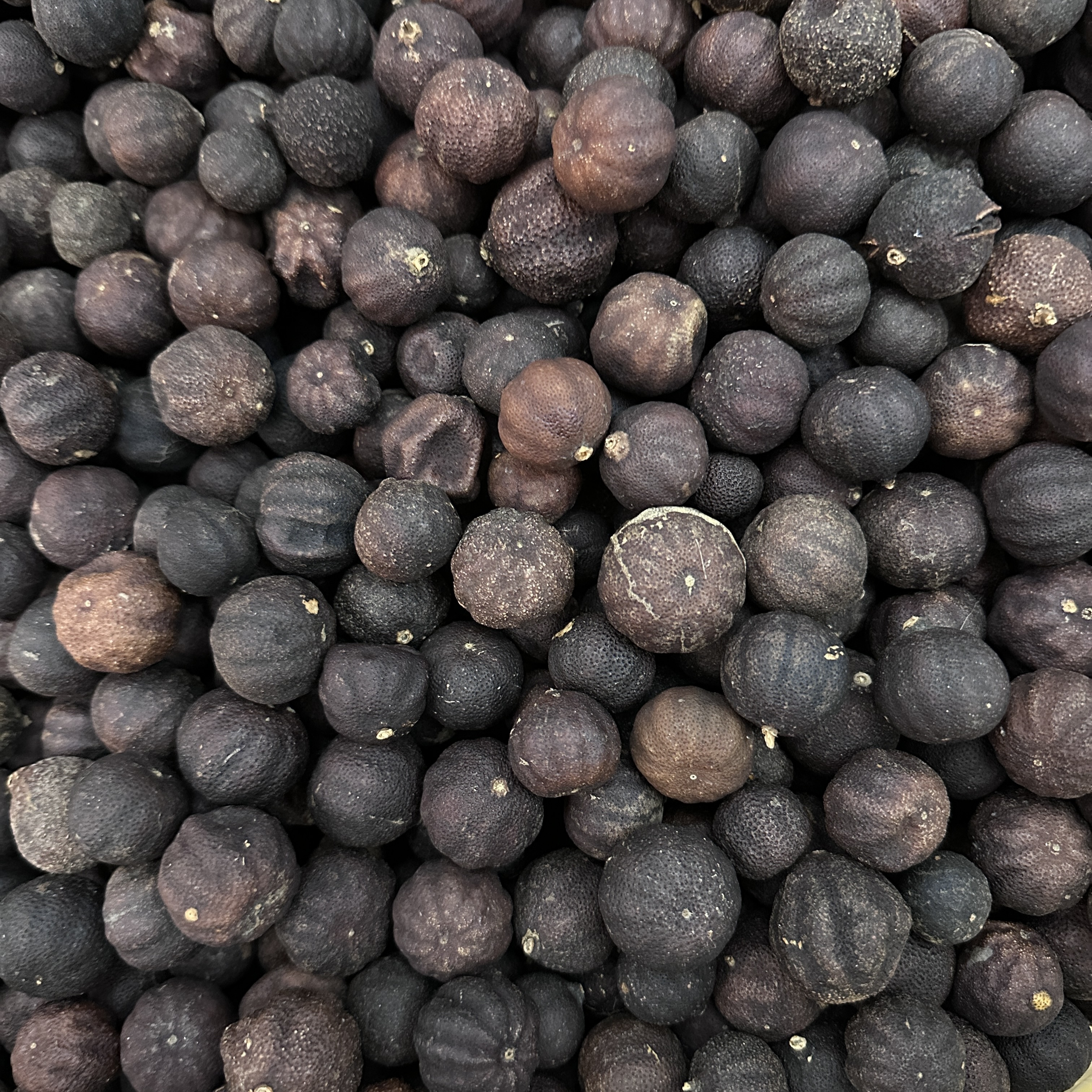 【2018年南瓜柑宝  梅子香清甜甘凉】 七堡产区 圈枝 可泡蜂蜜 泡盐