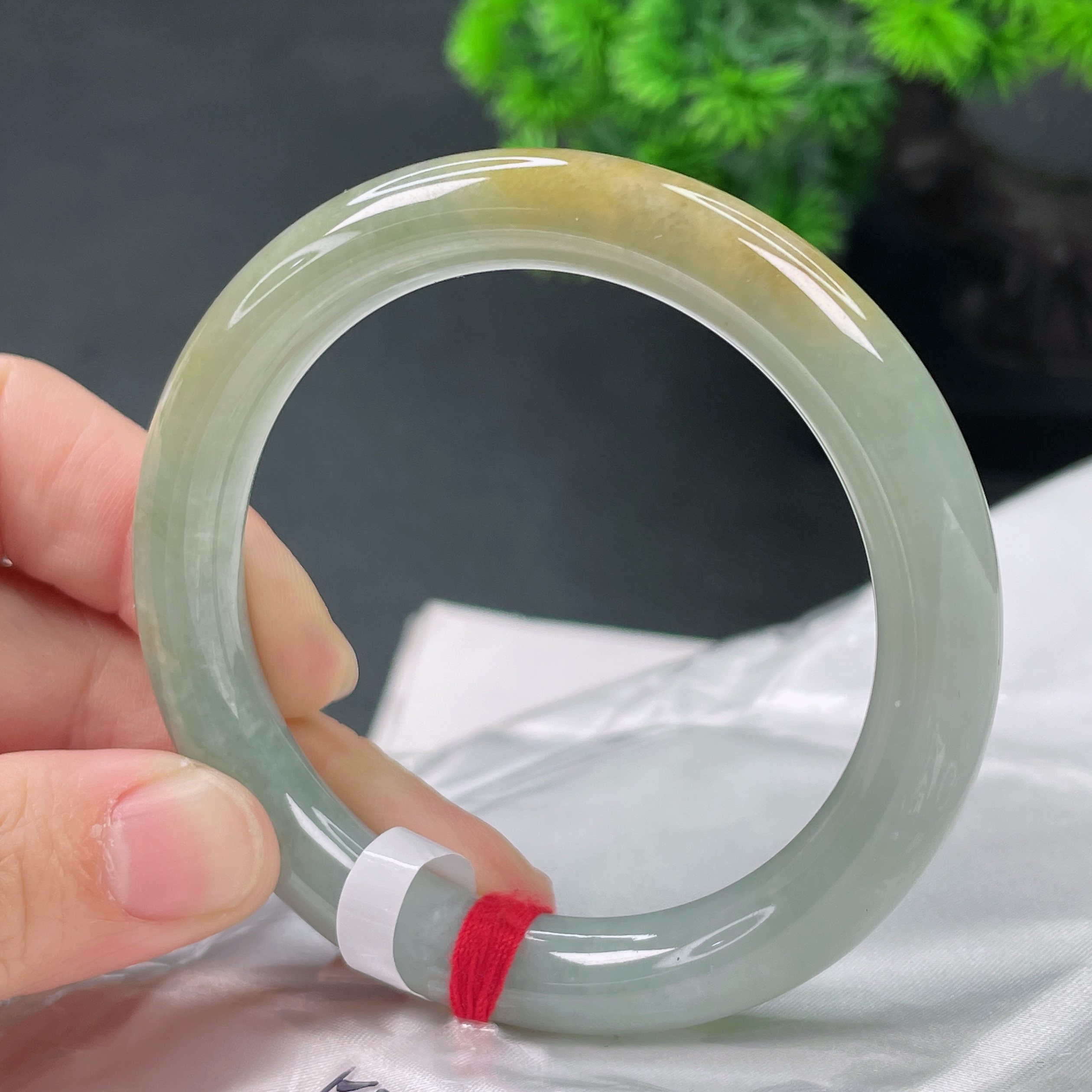 1426缅甸天然A货翡翠54圈特色款飘黄翡圆条手镯时尚百搭少女妈妈