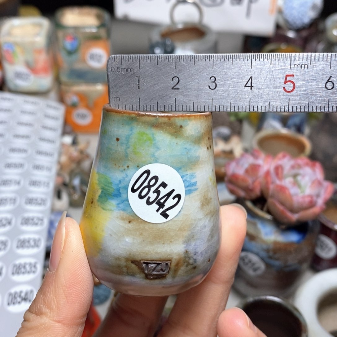 花盆拍5送一个小礼物