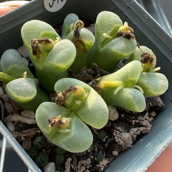 340号满30包邮111111，