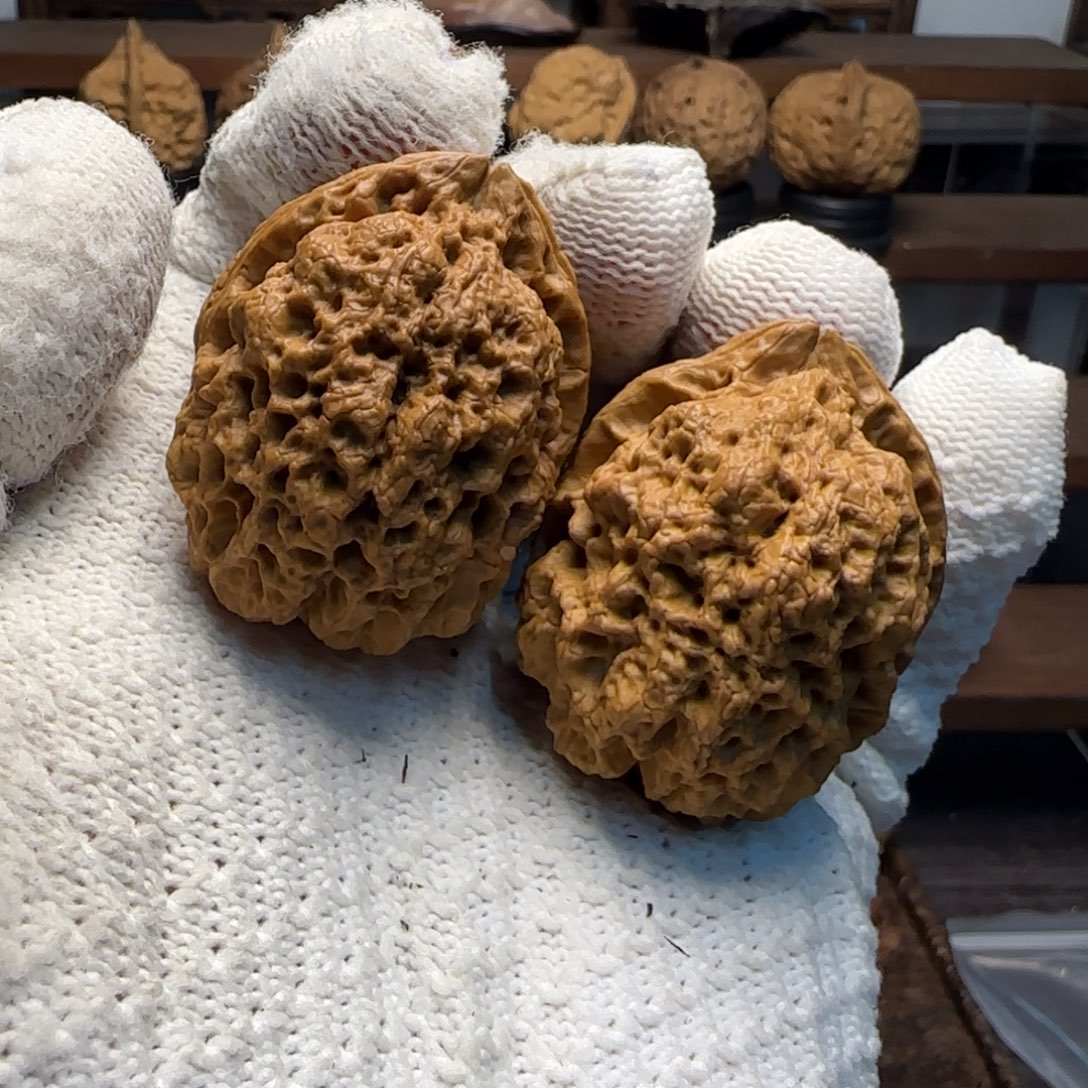 把件文玩核桃龙头鬼蝰