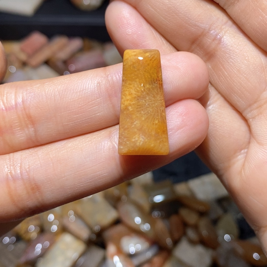 【闪购商品】硅化玉颈饰未镶嵌