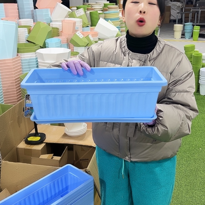 菜盆长45宽19高14蓝色5只带托