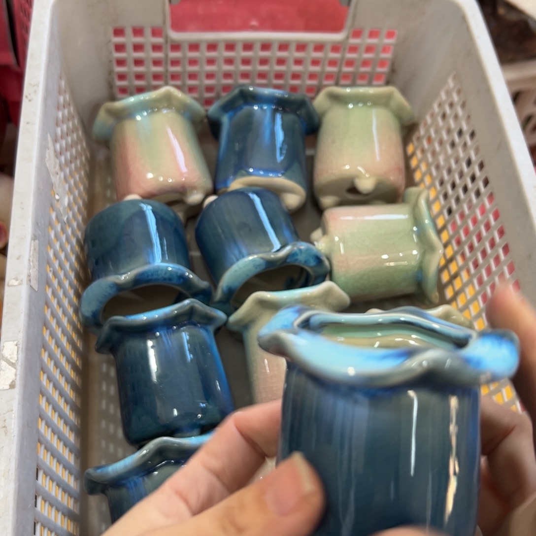 随机12个多肉花盆满20元发货退款的拉黑