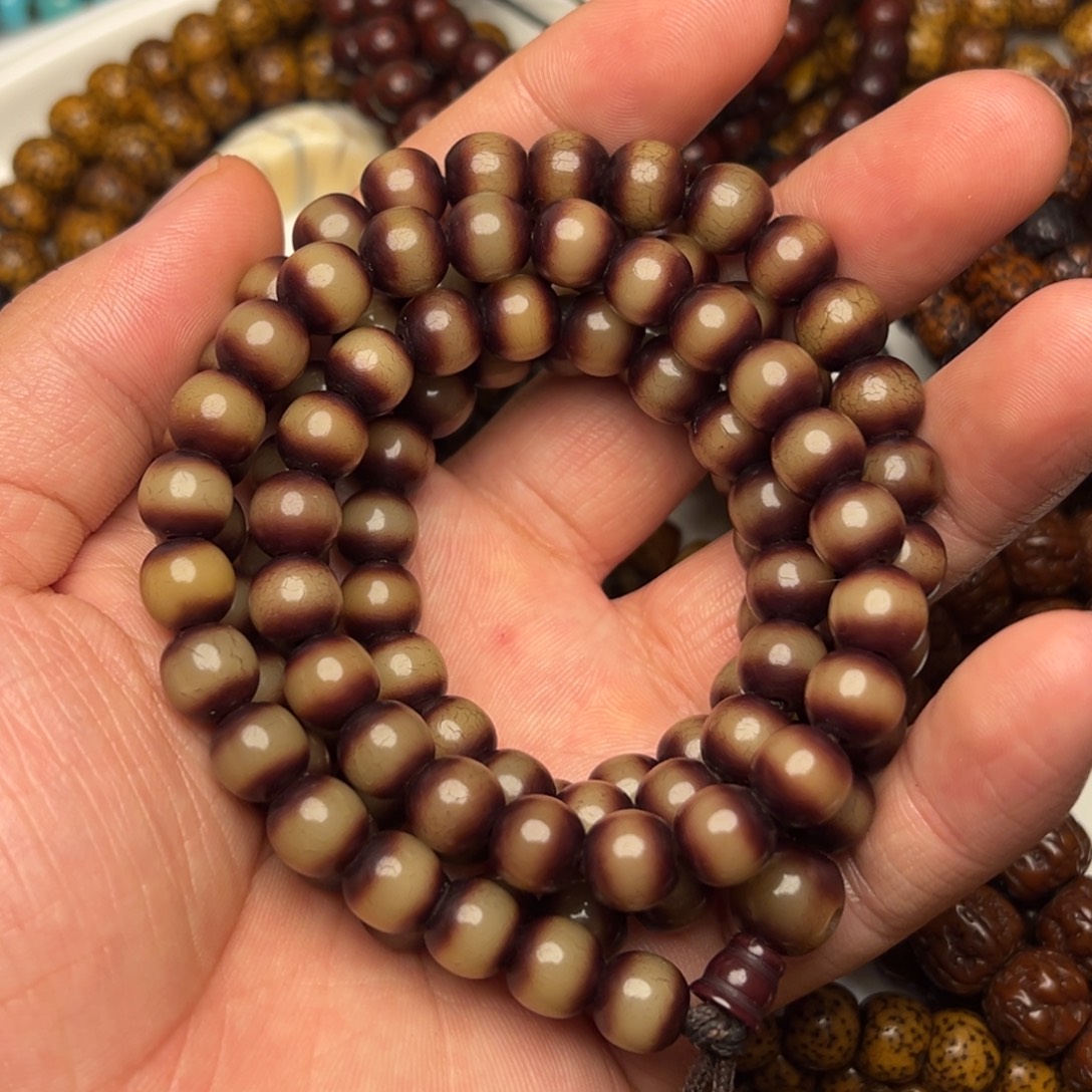 手串菩提根/象牙果