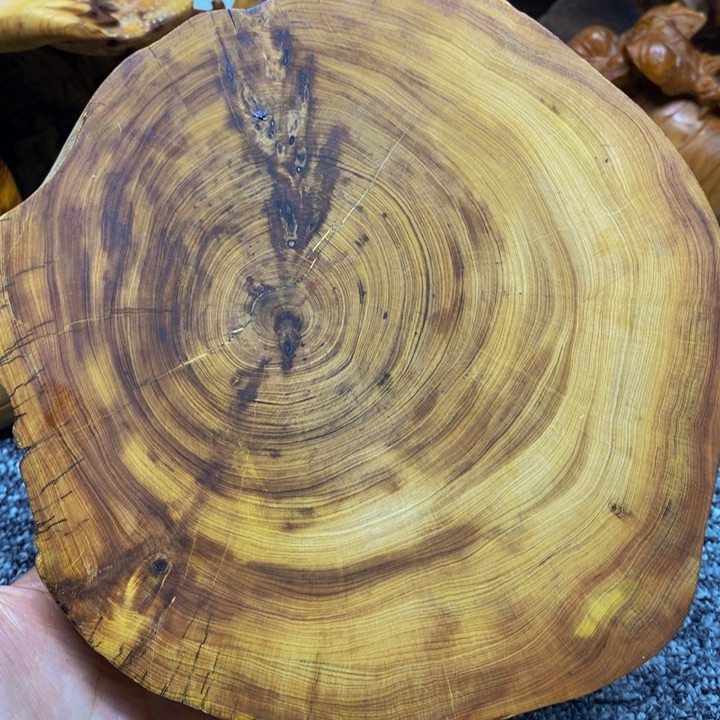 柏木（崖柏）崖柏193