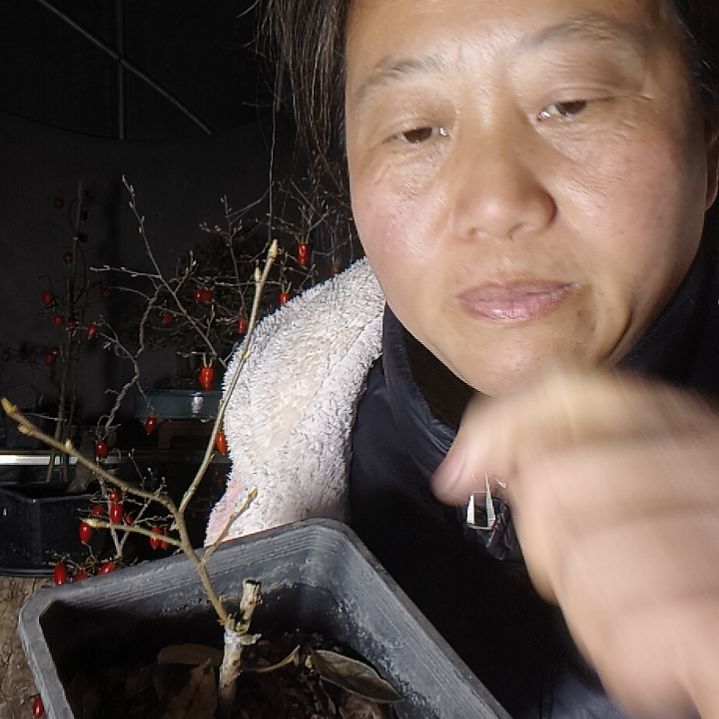 幽***源无花朵45675978989