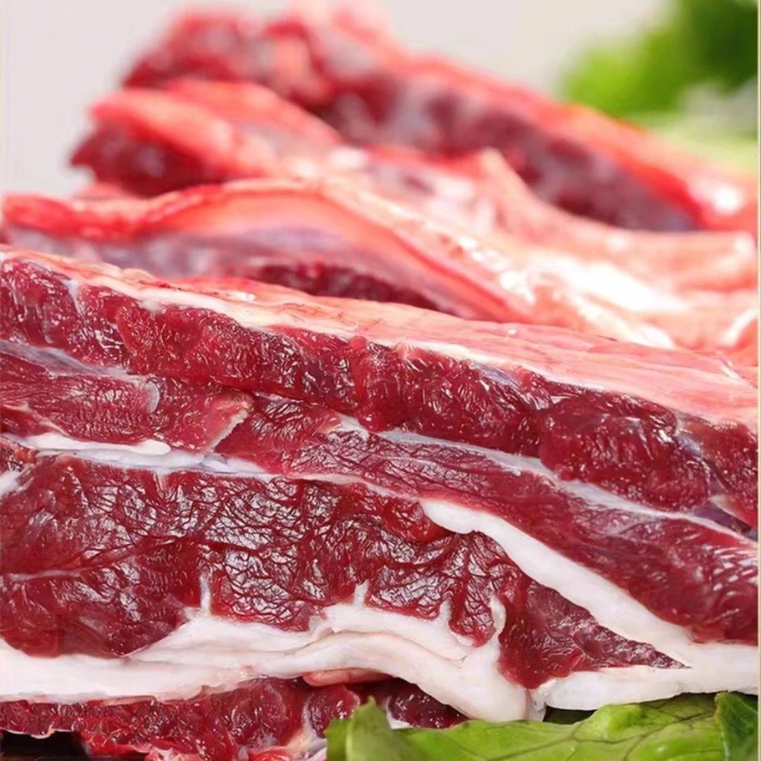 新疆木垒草标牛（牛前腿）