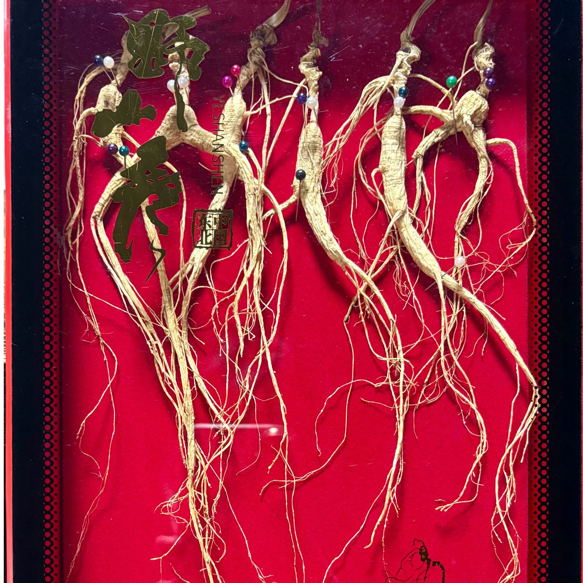 礼盒 东北桓仁林下山参人参干山参