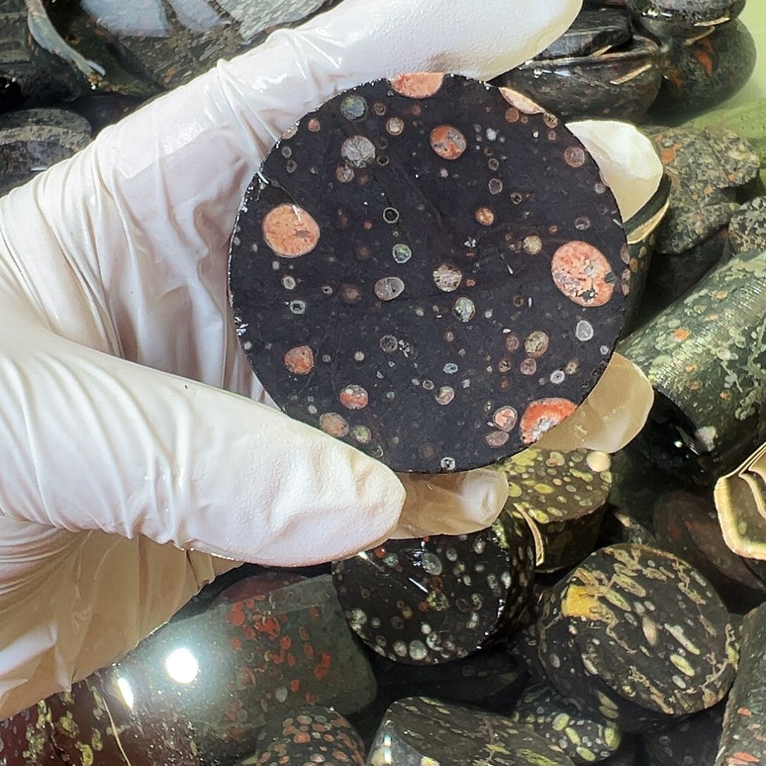 梅花玉鱼缸石茶周边不提不换