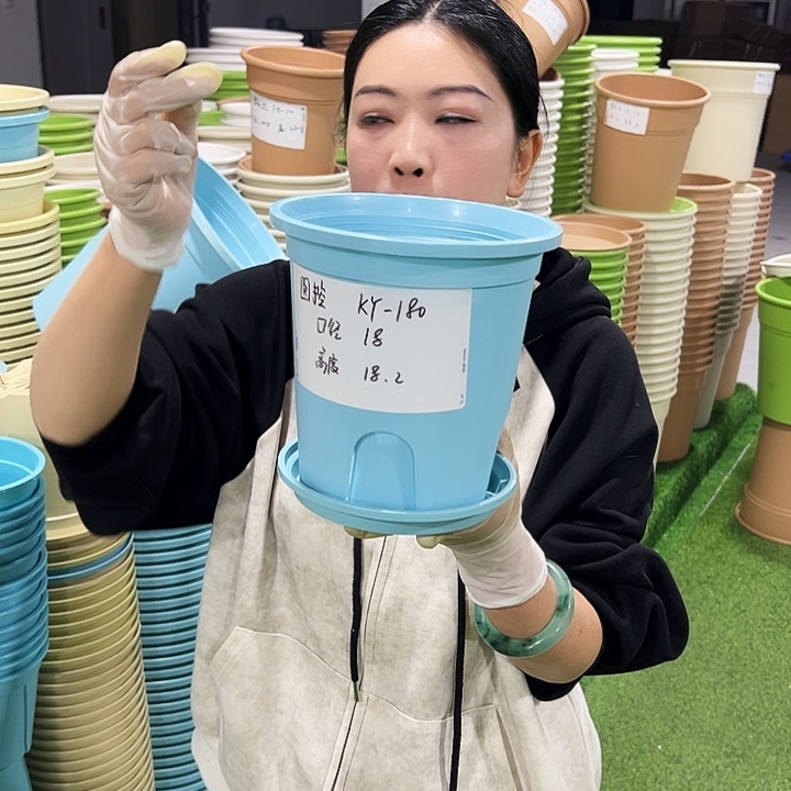 正品圆控口18高18混色5只带托