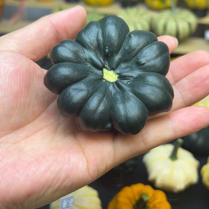 诺****妈福利福利福利福利