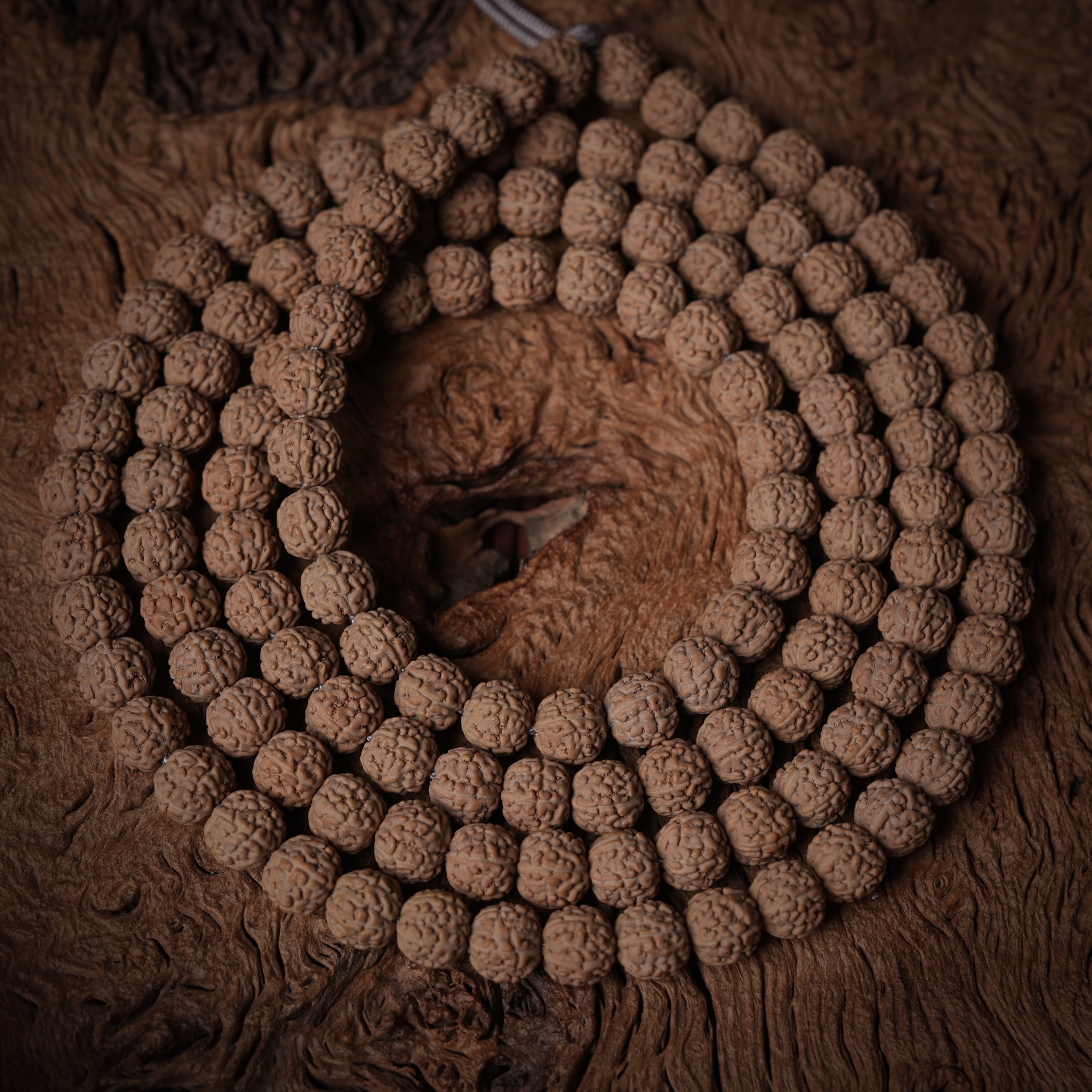 S47碎碎龙长串小金刚菩提文玩手串尺寸7-7+mm