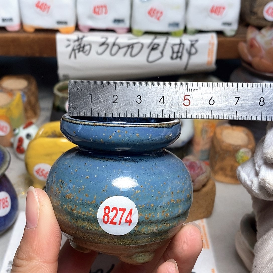 红陶拍5送一个小