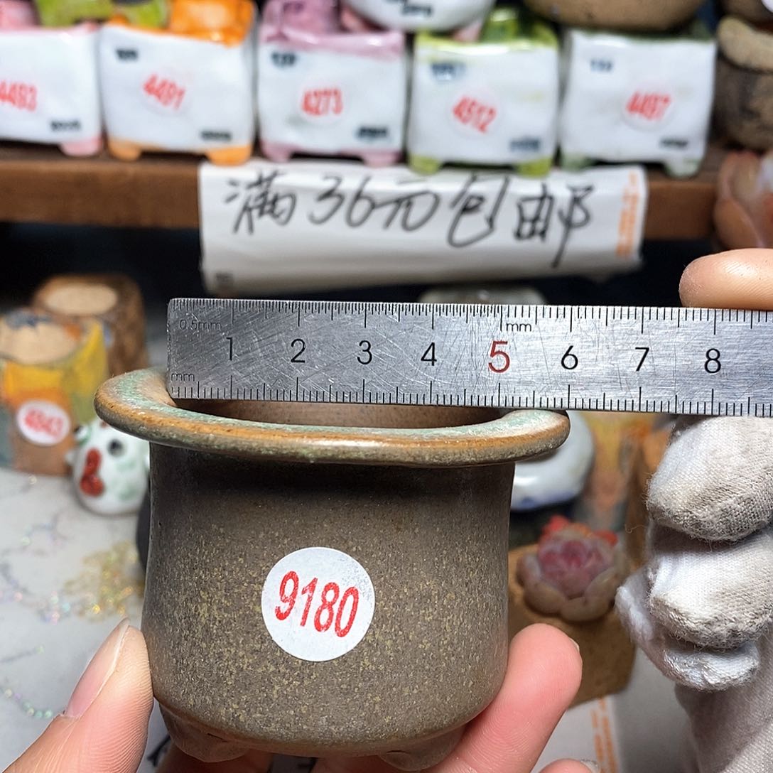 红陶拍5送一个小