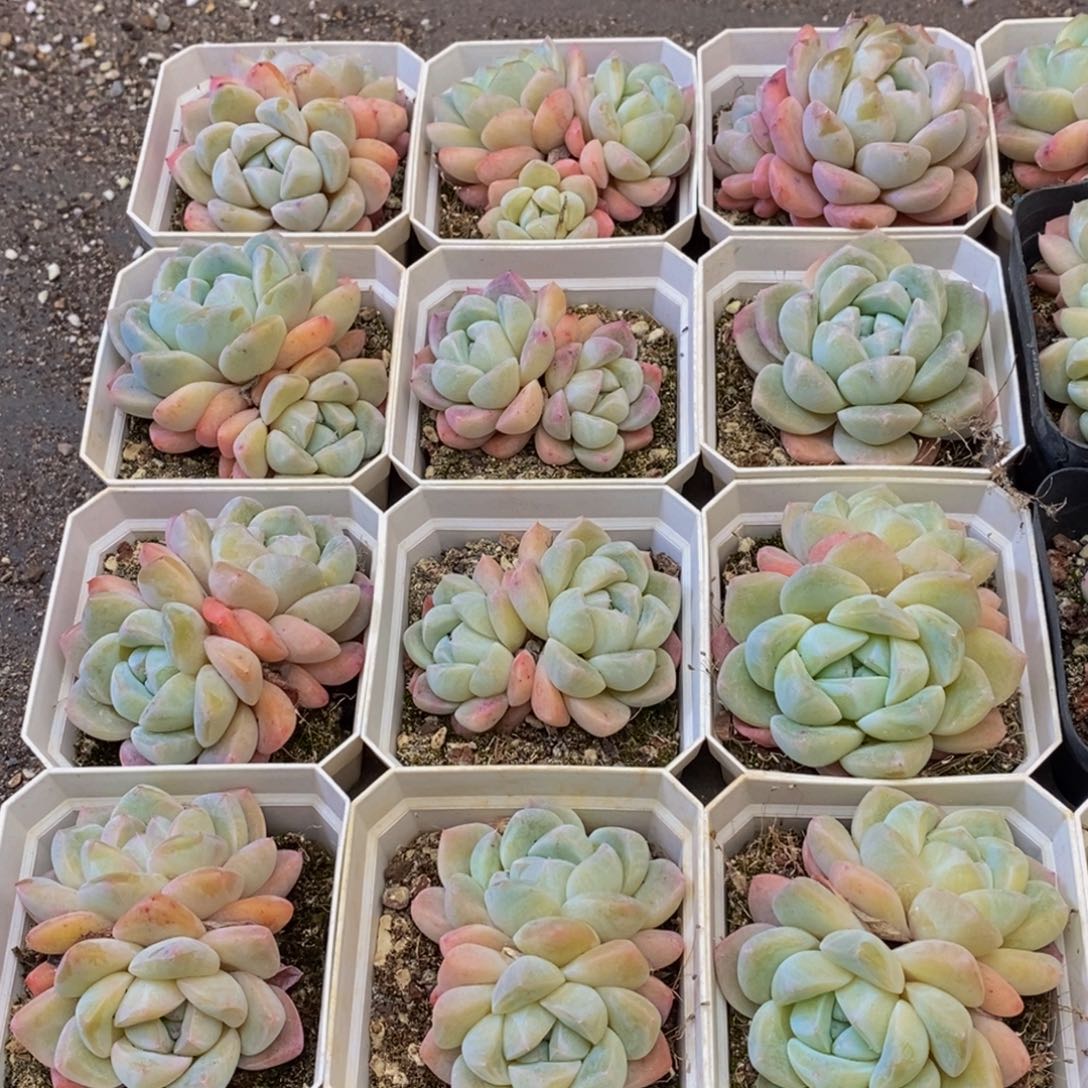 162的人在一起的时候