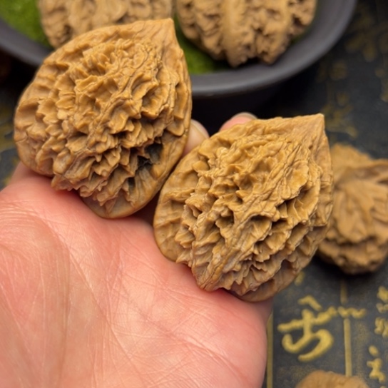 文玩核桃把件我***因秦岭核桃15