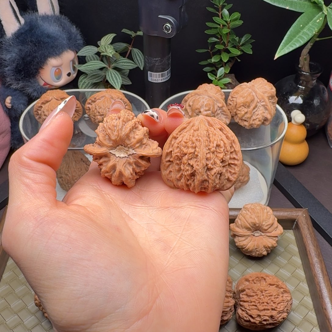 把件龙脊菩提全品石膏底密纹37