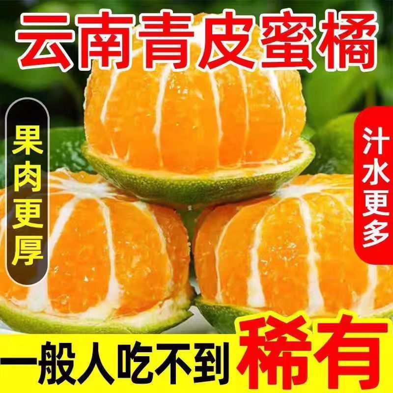 云南酸蜜桔青皮橘子薄皮蜜橘水果