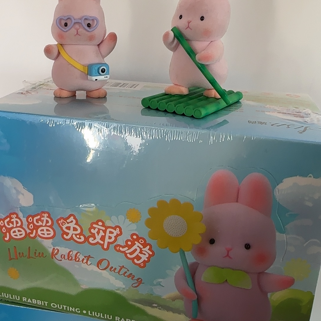 溜溜兔郊游一端6只