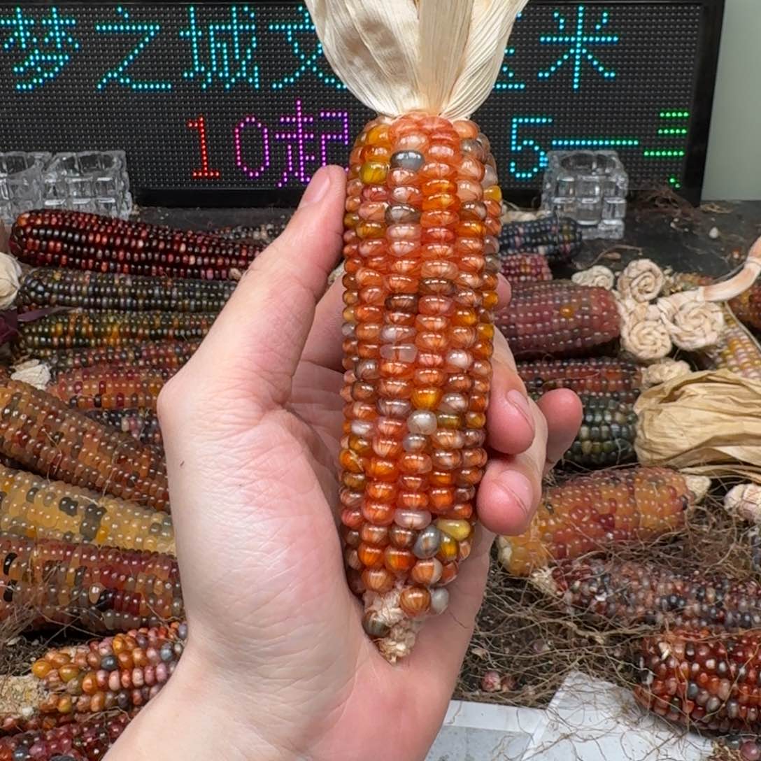 柏香籽/百香籽吊坠彼*